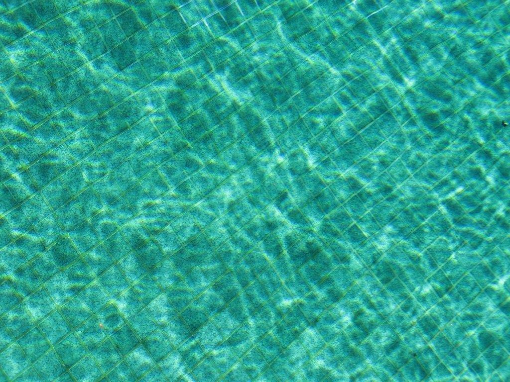 IMG_14571